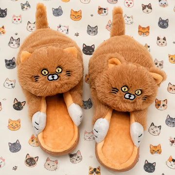 🐱 Cat Slippers