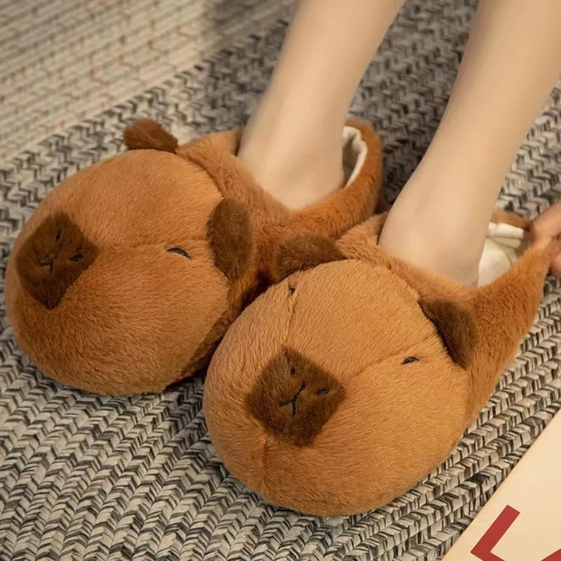 Capybara House Slippers